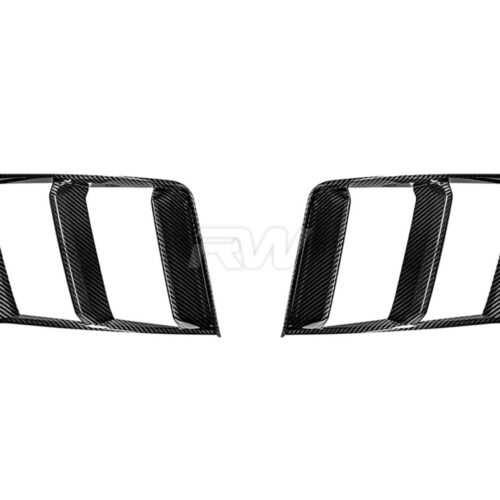 RW Carbon Audi R8 4S Carbon Fiber Front Trim