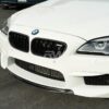 RW Carbon BMW F06 F12 F13 Carbon Fiber Grilles (3)