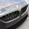 RW Carbon BMW F06 F12 F13 Carbon Fiber Grilles (7)