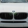 RW Carbon BMW F15 F16 F85 F86 Carbon Fiber Grilles (4)