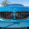 RW Carbon BMW F22 F23 F87 Carbon Fiber Grilles (2)