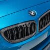 RW Carbon BMW F22 F23 F87 Carbon Fiber Grilles (3)
