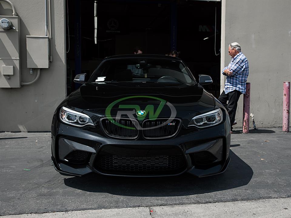 RW Carbon BMW F22 F23 F87 Carbon Fiber Grilles (6)