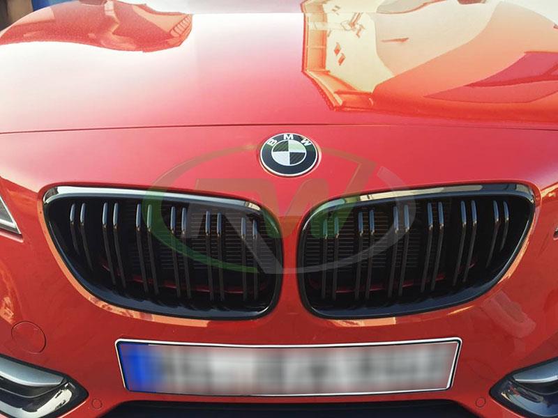 RW Carbon BMW F22 F23 F87 Double Slat Gloss Black Grilles (4)