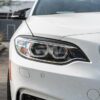 RW Carbon BMW F22 F87 Carbon Fiber Eyelids_2