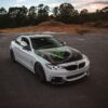 RW Carbon BMW F30_F32 GTS Style Carbon Fiber Hood - Image 12