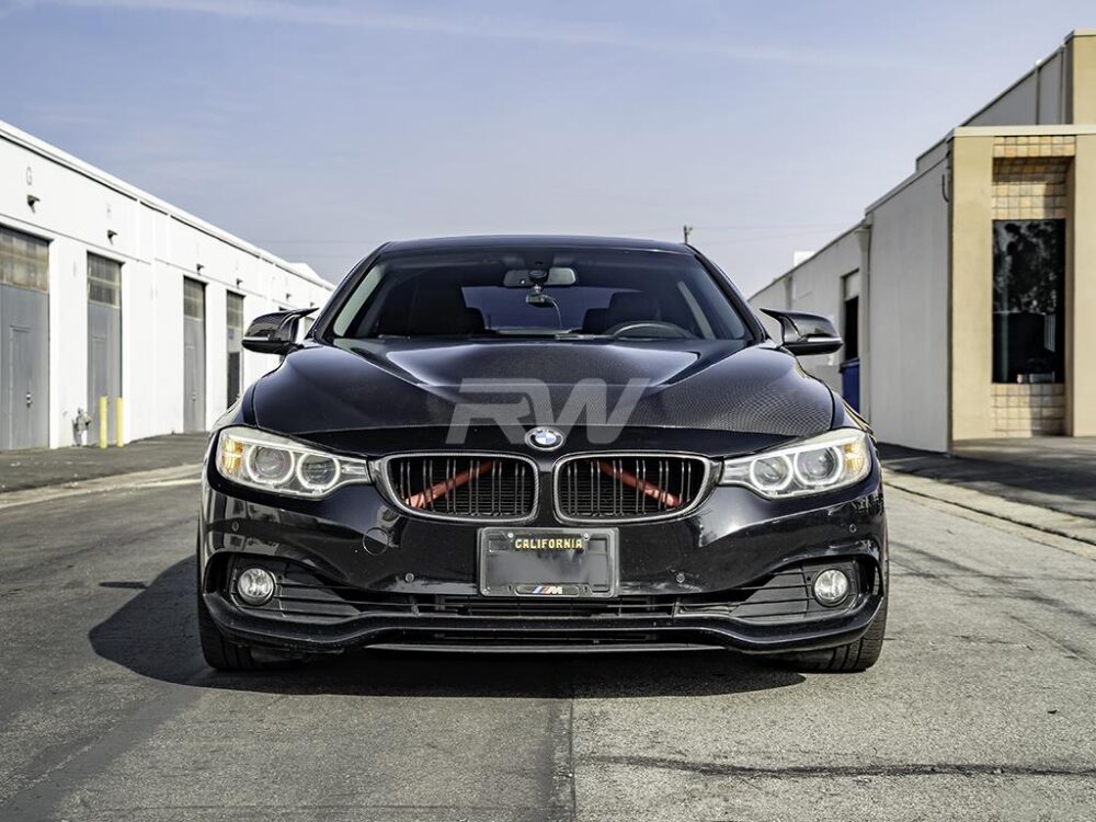 RW Carbon BMW F30_F32 GTS Style Carbon Fiber Hood - Image 3