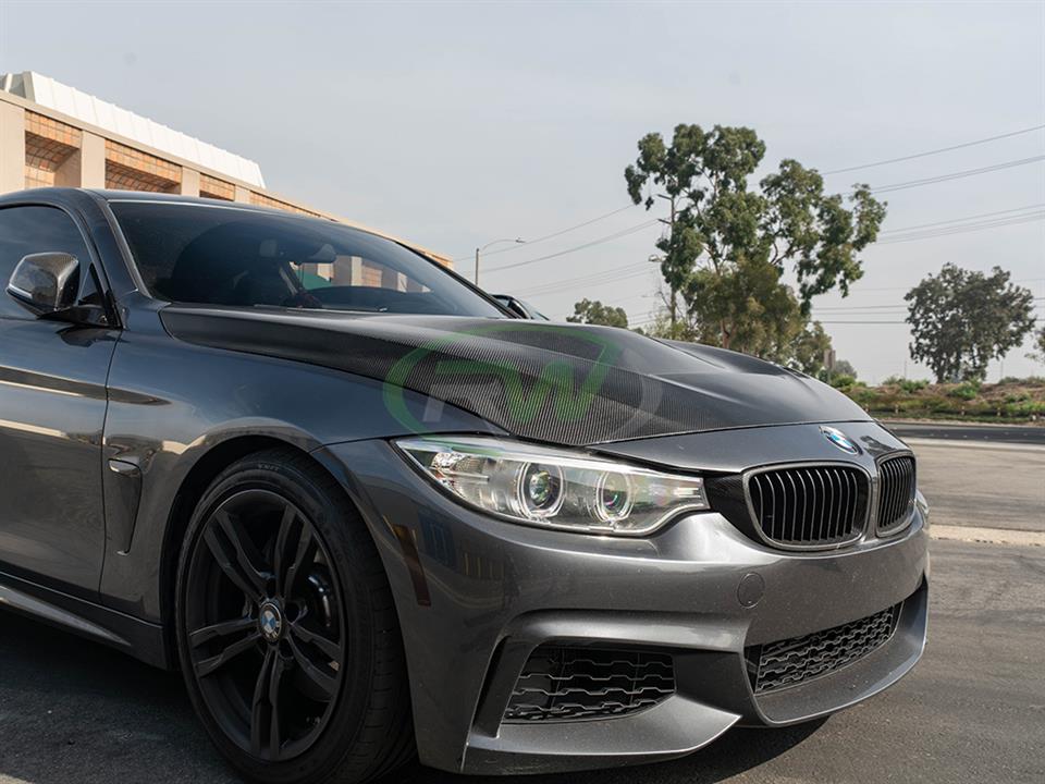 RW Carbon BMW F30_F32 GTS Style Carbon Fiber Hood - Image 6