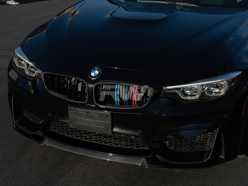 RW Carbon BMW F32 F33 F36 F80 F82 Carbon Fiber Grilles (2)