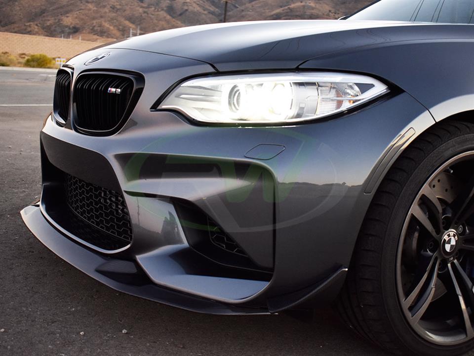 RW Carbon BMW F87 M2 Carbon Fiber Canards_13