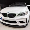 RW Carbon BMW F87 M2 Carbon Fiber Canards_5