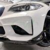 RW Carbon BMW F87 M2 Carbon Fiber Canards_9