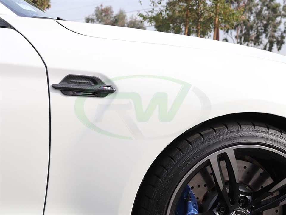 RW-Carbon-BMW-F87-M2-Carbon-Fiber-Fender-Trims-8