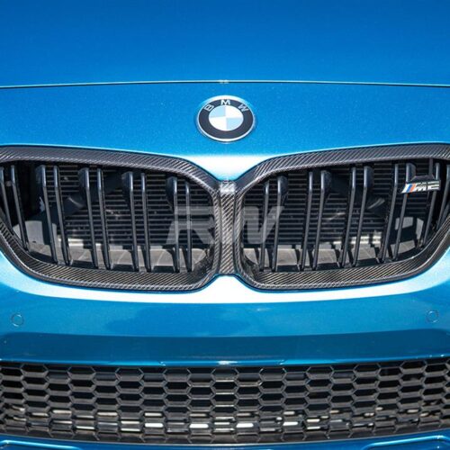 RW Carbon BMW F87 M2 Competition CF Grille Replacement