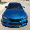 RW Carbon BMW F87 M2 Competition Carbon Fiber Canards_3