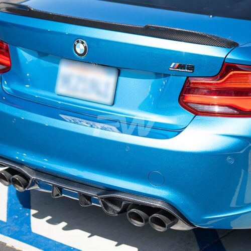 RW Carbon BMW F87 M2 DTM Carbon Fiber Rear Diffuser