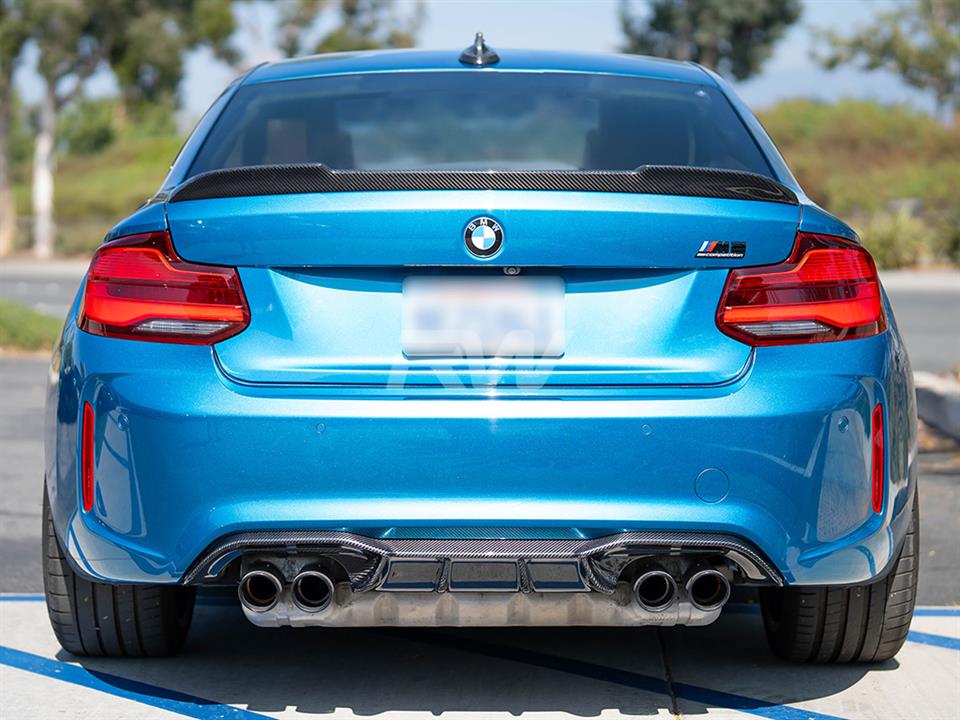 RW Carbon BMW F87 M2 DTM Carbon Fiber Rear Diffuser (3)