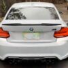 RW Carbon BMW F87 M2 DTM Carbon Fiber Rear Diffuser (6)