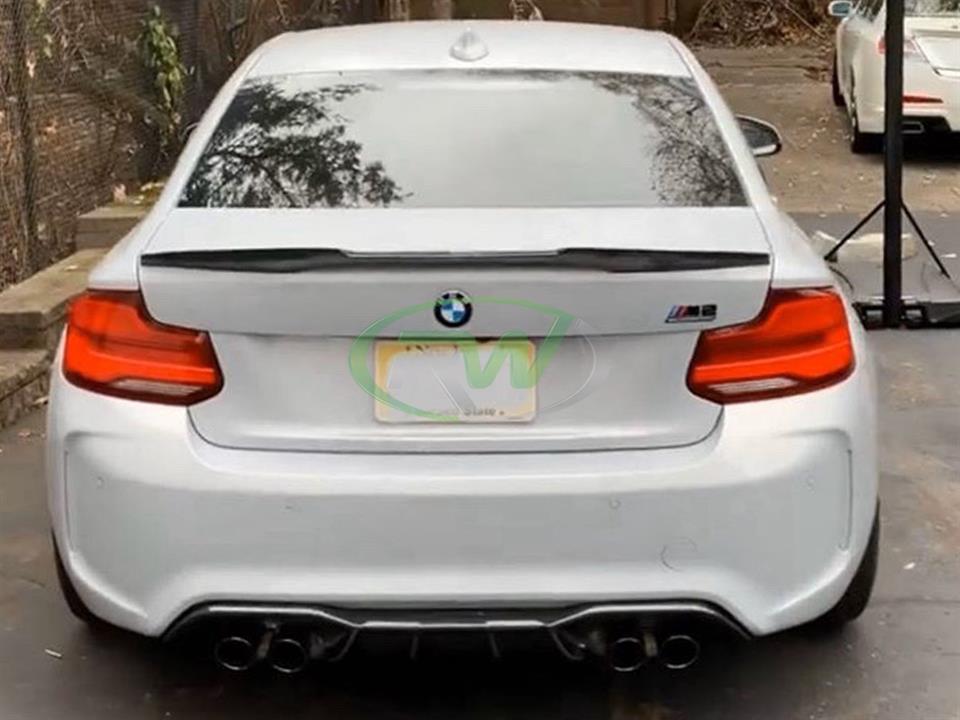 RW Carbon BMW F87 M2 DTM Carbon Fiber Rear Diffuser (6)
