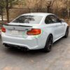 RW Carbon BMW F87 M2 DTM Carbon Fiber Rear Diffuser (7)