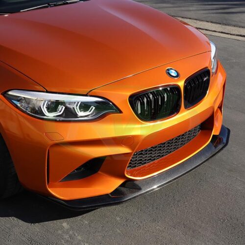 RW Carbon BMW F87 M2 GTS Style Carbon Fiber Front Lip