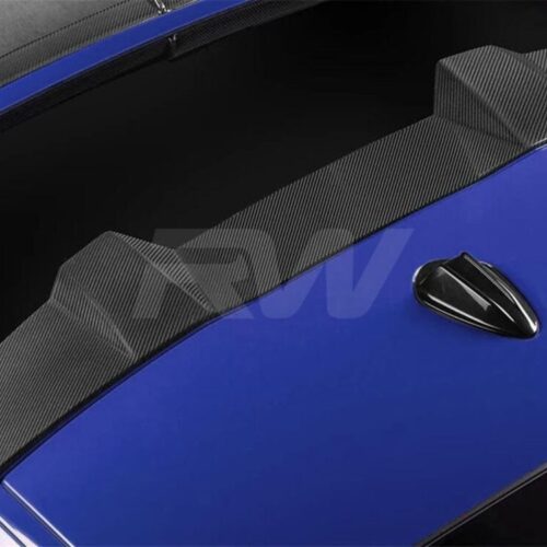 RW Carbon BMW G06 X6 F96 X6M DTM Carbon Fiber Roof Spoiler