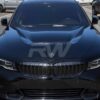 RW Carbon BMW G20 3-Series DTM Aluminum Hood - Image 2