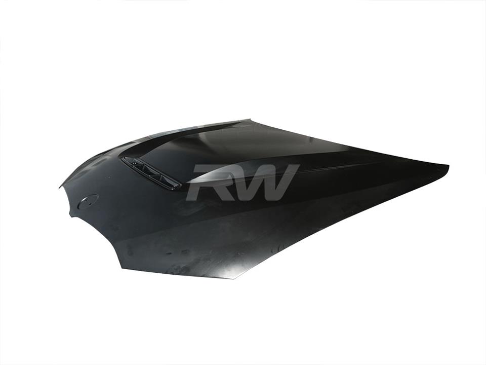 RW Carbon BMW G20 3-Series DTM Aluminum Hood - Image 6