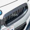 RW Carbon BMW G42 2-Series Carbon Fiber Grille Surrounds - Image 2