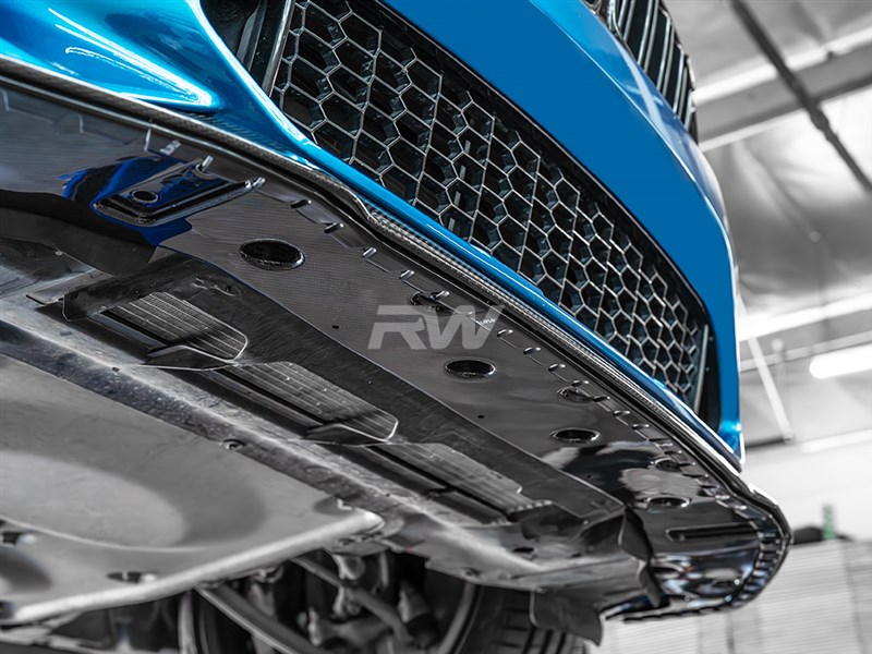 RW Carbon SLiPLO Do It Yourself Kit - Anti Scrape Guard (1)