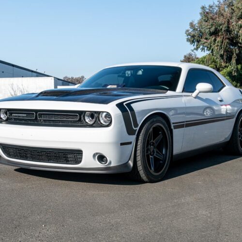 EOS 2015-23 Dodge Challenger Front Bumper Grille Trim Insert Overlay